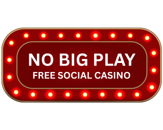 NoBigPlay Logo